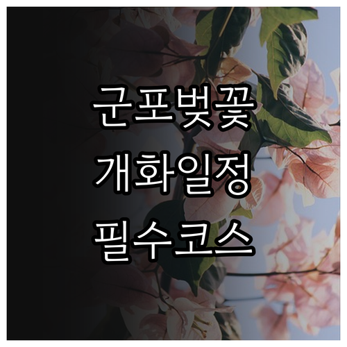 군포 벚꽃 나들이 정보 개화 일정 명소별 특징 확인