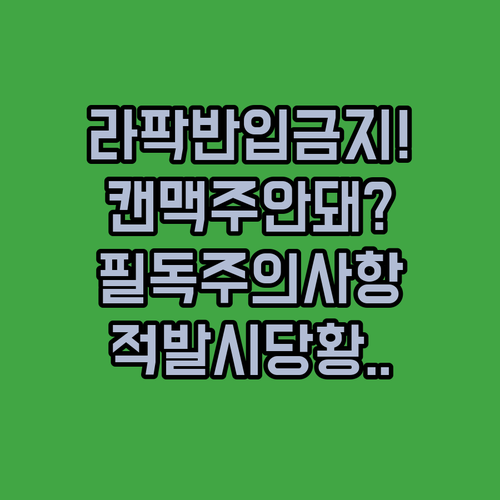 삼성 라이온즈 파크 아이스박스 및 캔 맥주 반입 제한 안내