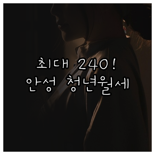 최대 240만원 지원받는 안성시 청년월세지원 사업 신청 안내