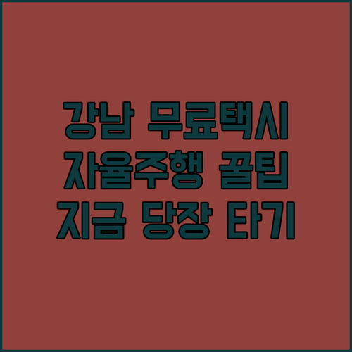 밤늦은 시간 강남에서 무료로 타는 자율주행 택시 이용법