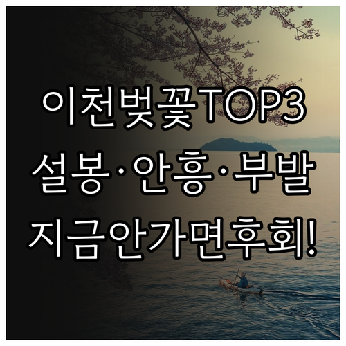 이천 벚꽃 명소 베스트 3 설봉공원 안흥지 부발역로