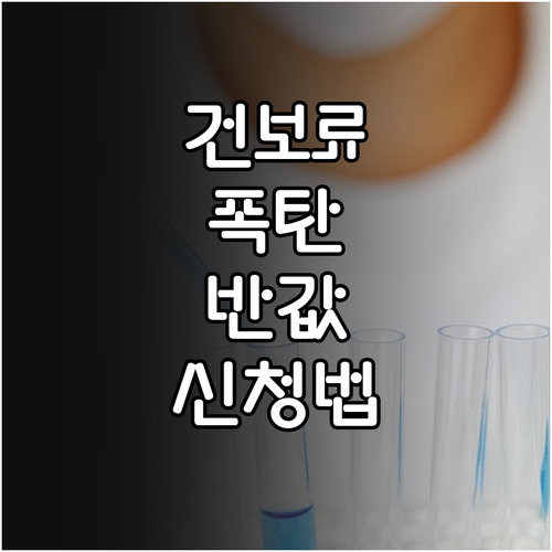 지역가입자 건강보험료 조정 신청 방법과 소득 재산 변동분 반영 시기
