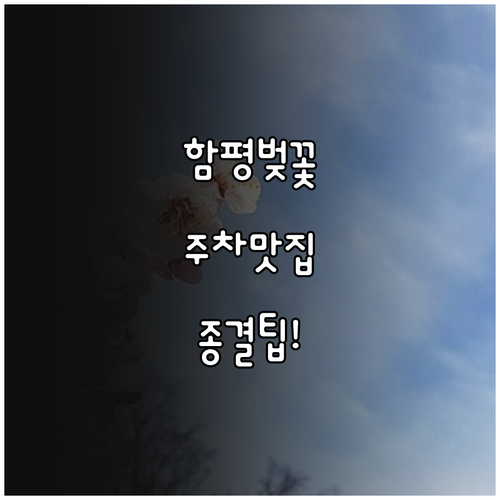 함평 벚꽃 축제 일정과 주차 맛집 정보 요약