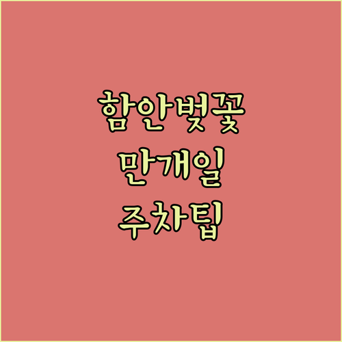 2026년 함안 벚꽃 만개 예상일과 주요 명소 주차 팁