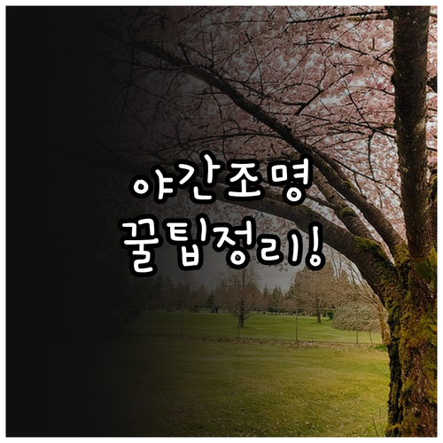 마산 벚꽃 축제 야간 조명 시간과 대중교통 이용 방법