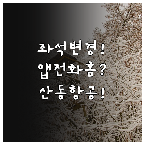 산동항공 좌석 바꾸는 법 | 앱 홈페이지 전화상담 활용하기