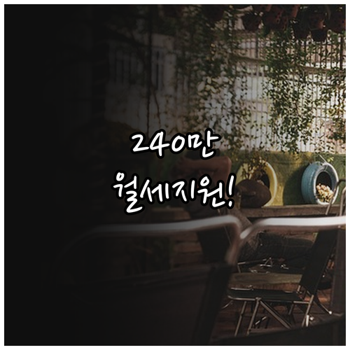 인제군 거주 만 19세부터 49세 월세 최대 240만원