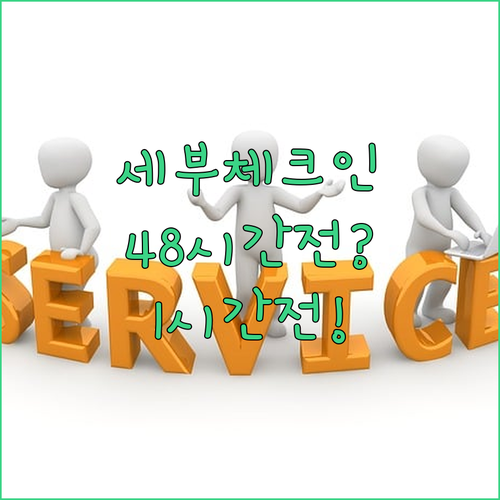세부퍼시픽 온라인 체크인 48시간 전부터 1시간 전까지 가능