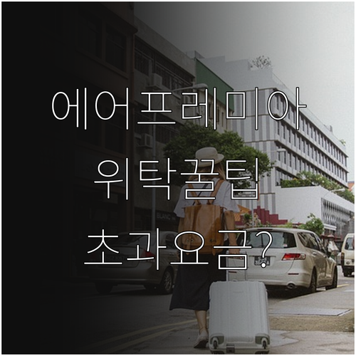 에어프레미아 위탁수하물 총정리 | 노선별 허용량과 초과 요금