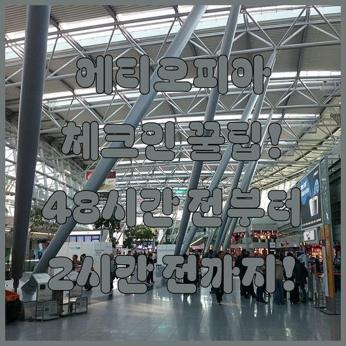 에티오피아항공 온라인 체크인 48시간 전부터 2시간 전까지 가능