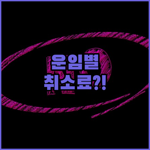 핀에어 운임 유형별 취소 수수료 2026년 기준