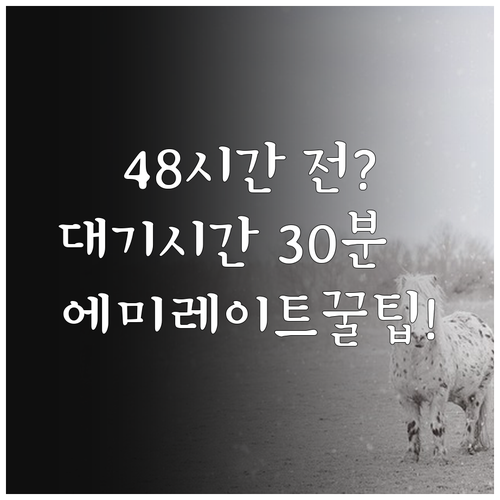 에미레이트항공 출발 48시간 전 체크인 | 공항 대기 시간 30분 이상 단축