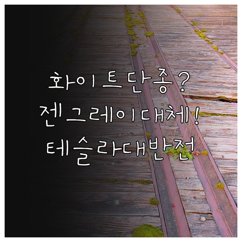 테슬라 모델Y, 화이트 인테리어 단종되고 젠 그레이로 대체