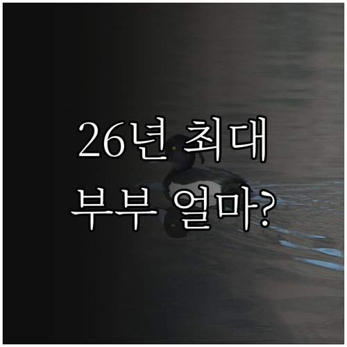 2026년 부부 기초연금 최대 수령액과 신청 방법
