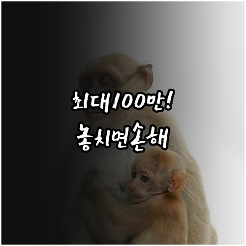 image 21857374