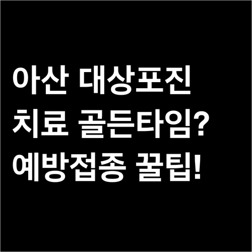 아산 대상포진 치료 시점과 병원 선택 및 예방 접종 안내