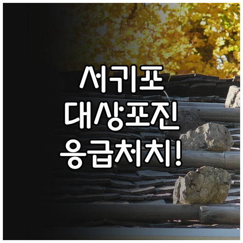 image 404b8762