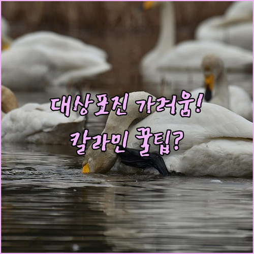 image 8a6c89df