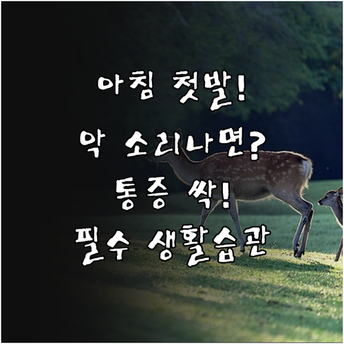 image c2eda4db