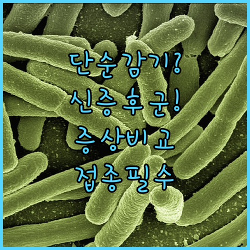 image dfaebda6