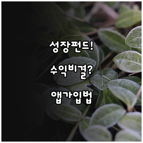 image e9b617f6