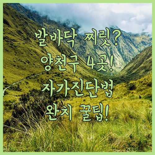 image f33ffbdd