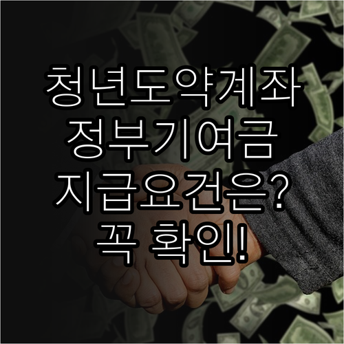 청년도약계좌 정부기여금 지급 요건과 확인 방법