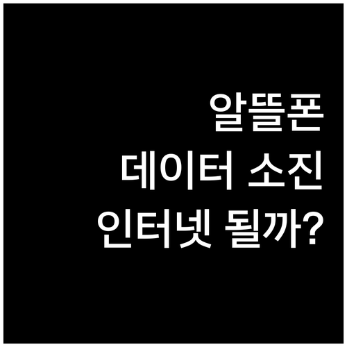 알뜰폰 요금제 데이터 소진 후 인터넷 이용 가능할까