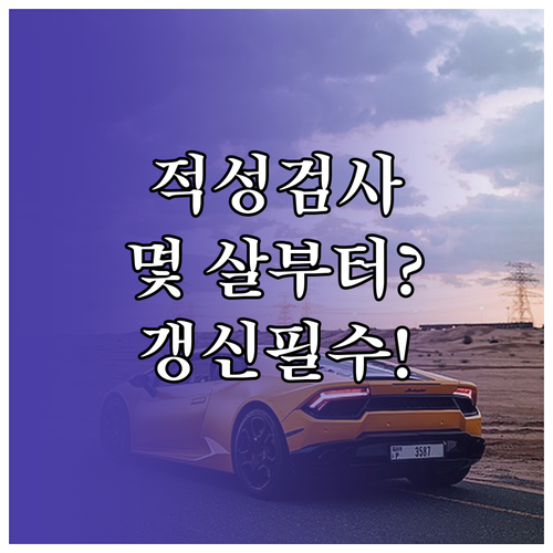 운전면허 적성검사 대상 나이와 갱신 조건