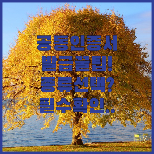 image e81c77e5