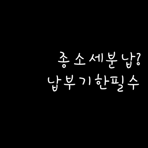 종합소득세 분납 가능 여부와 납부기한 확인하기