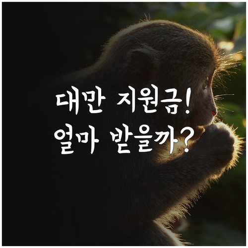 image 01629b03