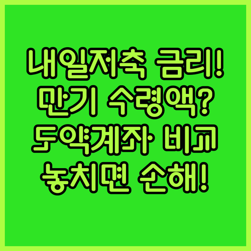 청년내일저축계좌 금리와 만기 수령액, 청년도약계좌와 비교