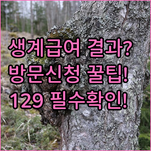 image ba568f7e